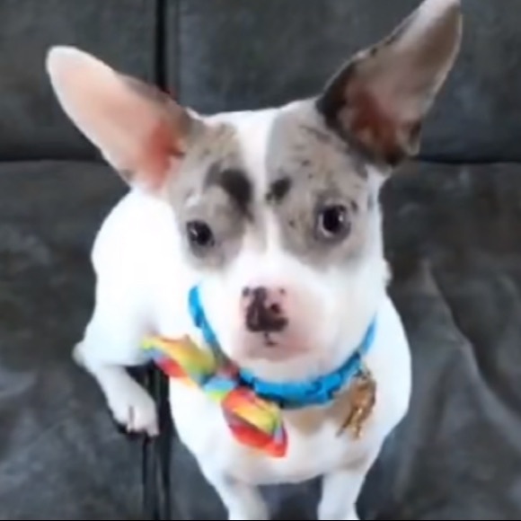 Meet your Posher, Matela - Picture 1 of 1